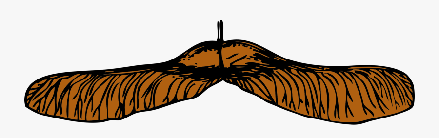 Clip Art Crafts And Sensory Activities - Maple Seed Clipart, Transparent Clipart