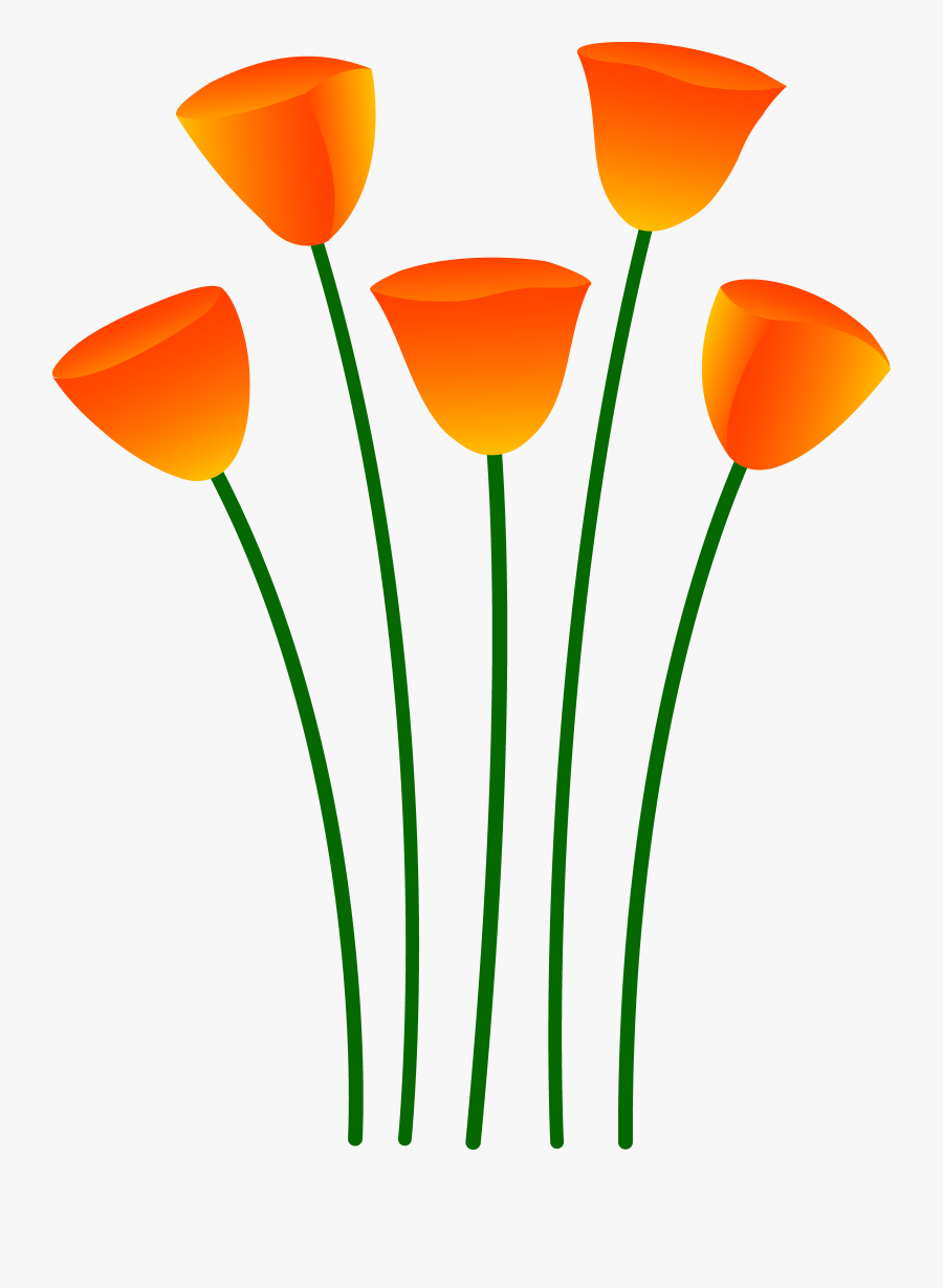 California Poppy - Clip Art, Transparent Clipart