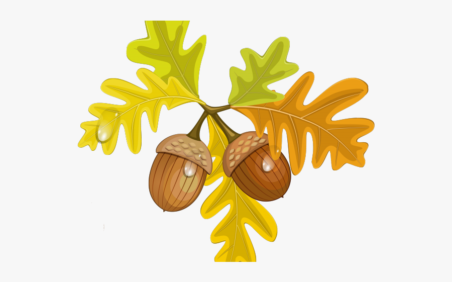 Leaves And Acorns Clipart, Transparent Clipart