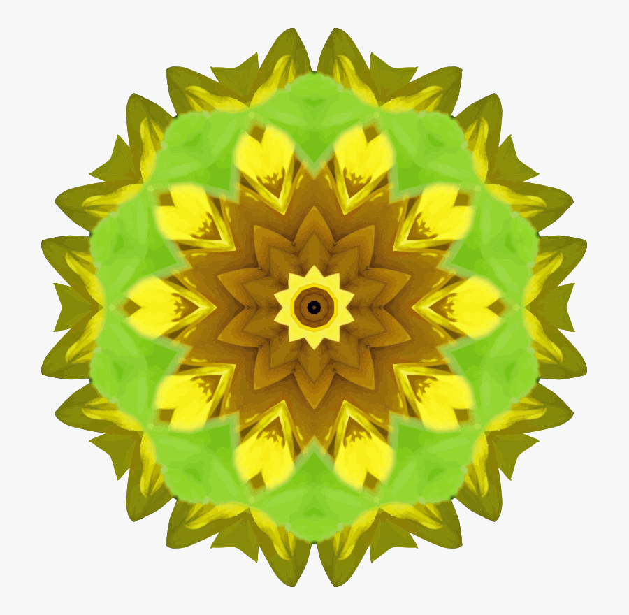 Sunflower Seed,plant,flower - Allen Tate Logo, Transparent Clipart