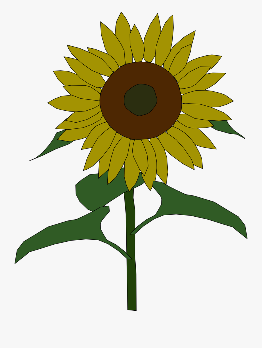 Sun Flower Seed Clipart - Clipart Sunflower, Transparent Clipart