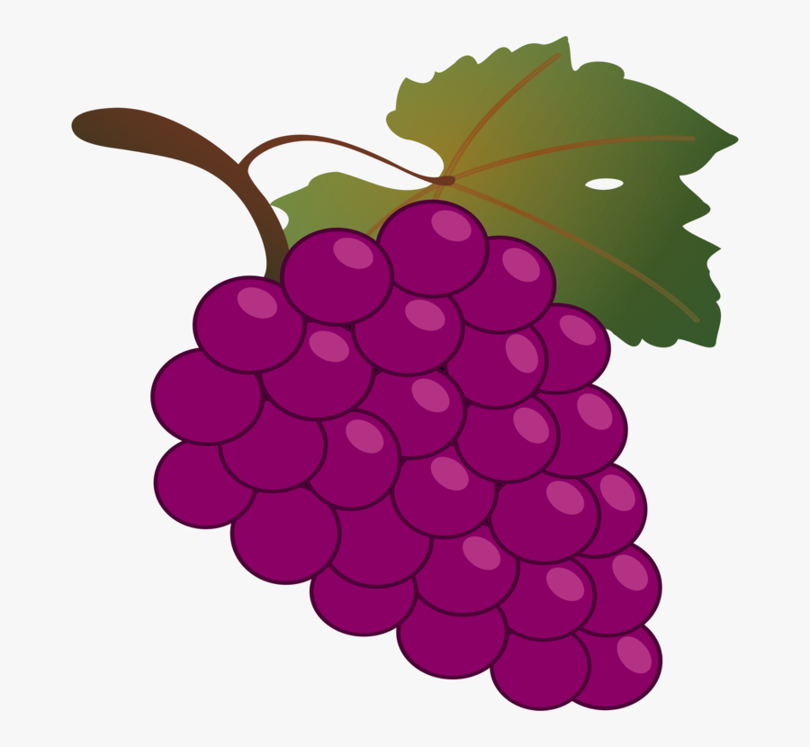 Seedless Fruit,grape Seed Extract,plant - Grapes Clipart, Transparent Clipart