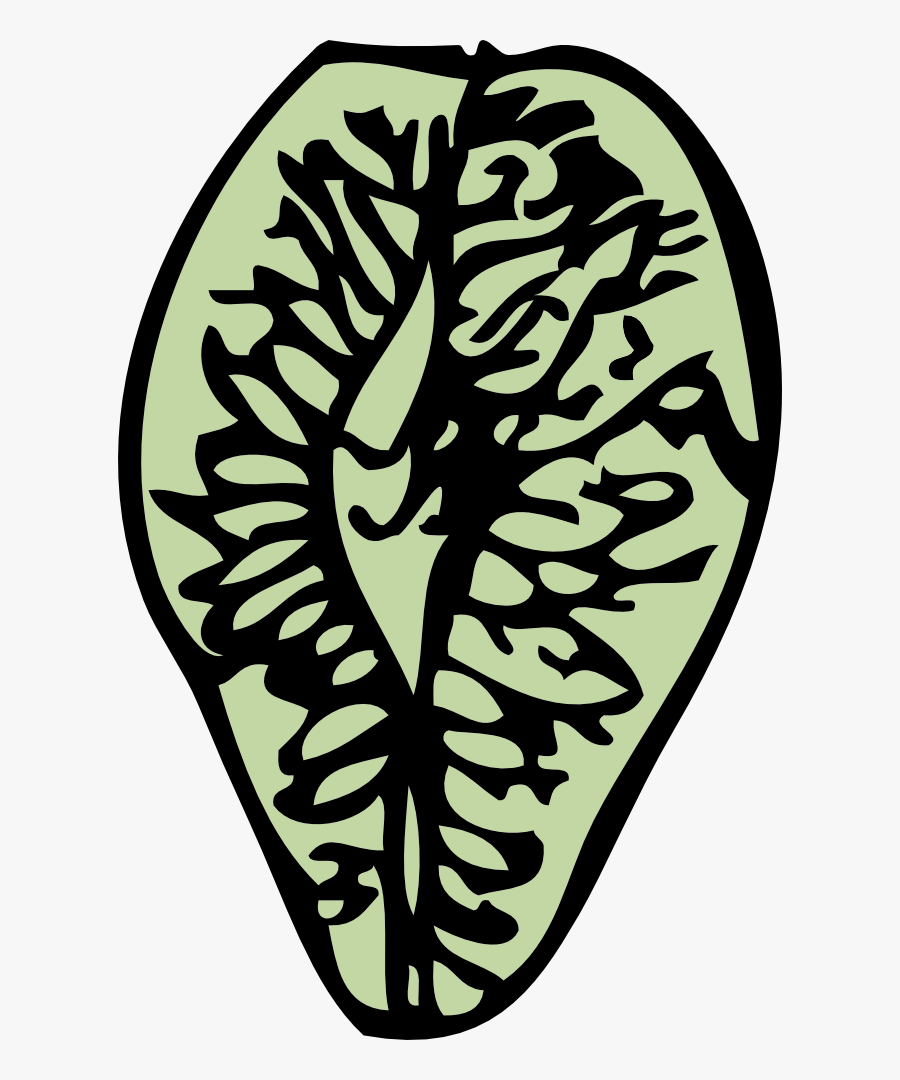 Elm Seed - Conifer Cone, Transparent Clipart