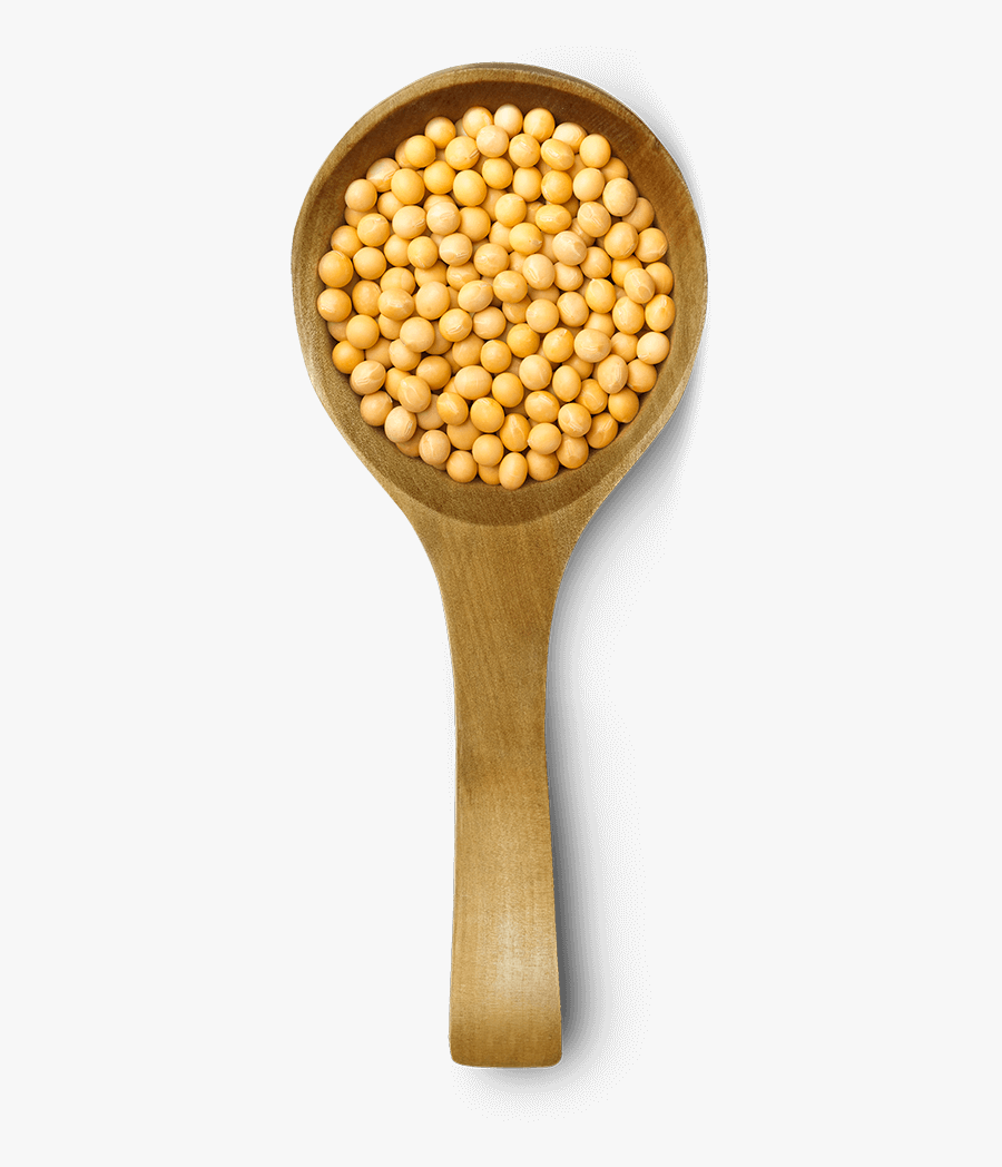 Clip Art Good Catch Soy - Chickpea, Transparent Clipart