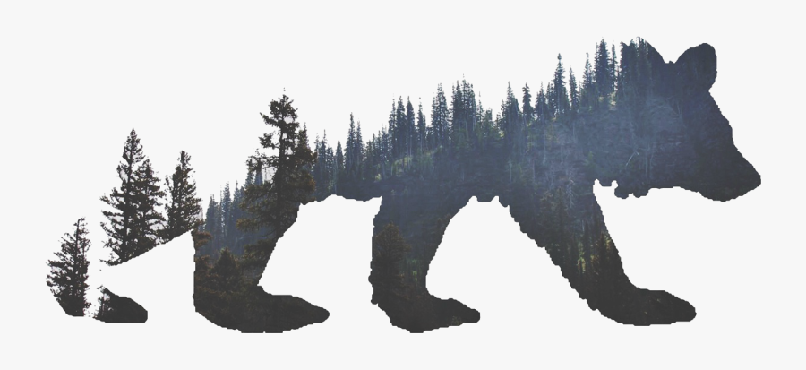 Tattoo Grizzly Bear Tiger American Woods California - Bear Silhouette Tattoo, Transparent Clipart