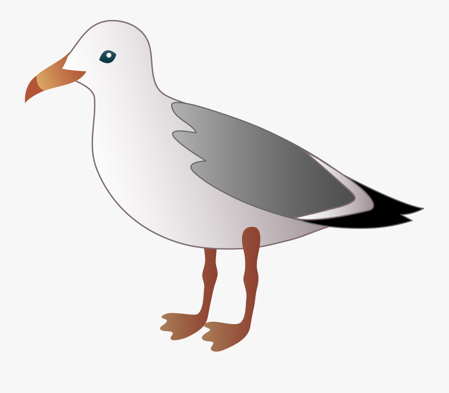 Seagull Clipart, Transparent Clipart