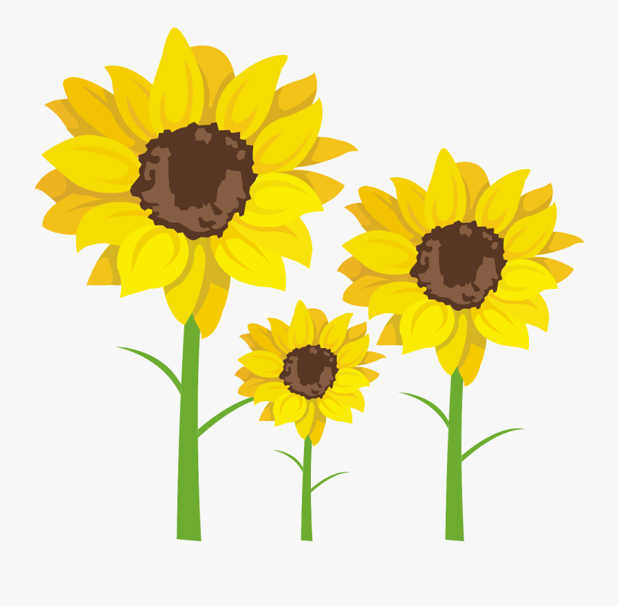 Banner Transparent Download Common Seed Clip Art Transprent - Girassol Vetor Png, Transparent Clipart
