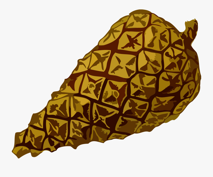 Cone - Semilla De Pino Png, Transparent Clipart
