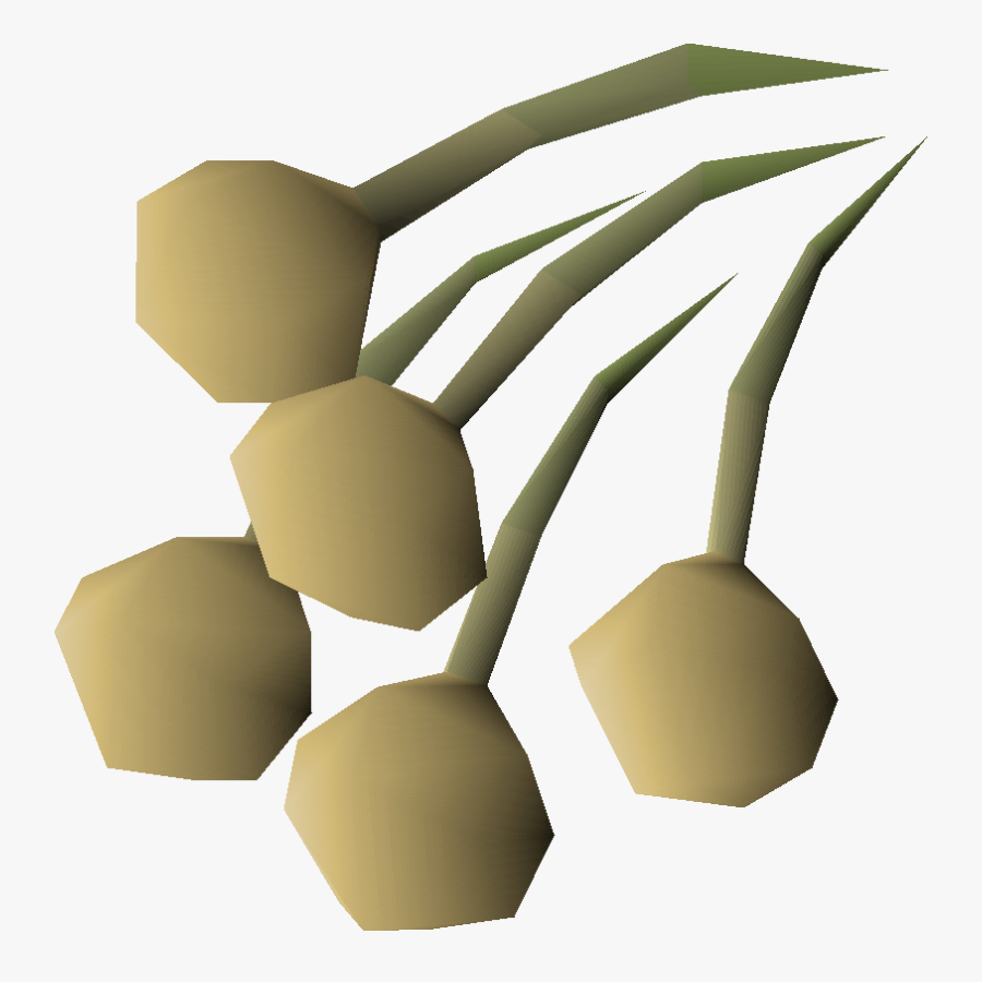 Onion Seed - Oldschool Runescape Onion Png, Transparent Clipart