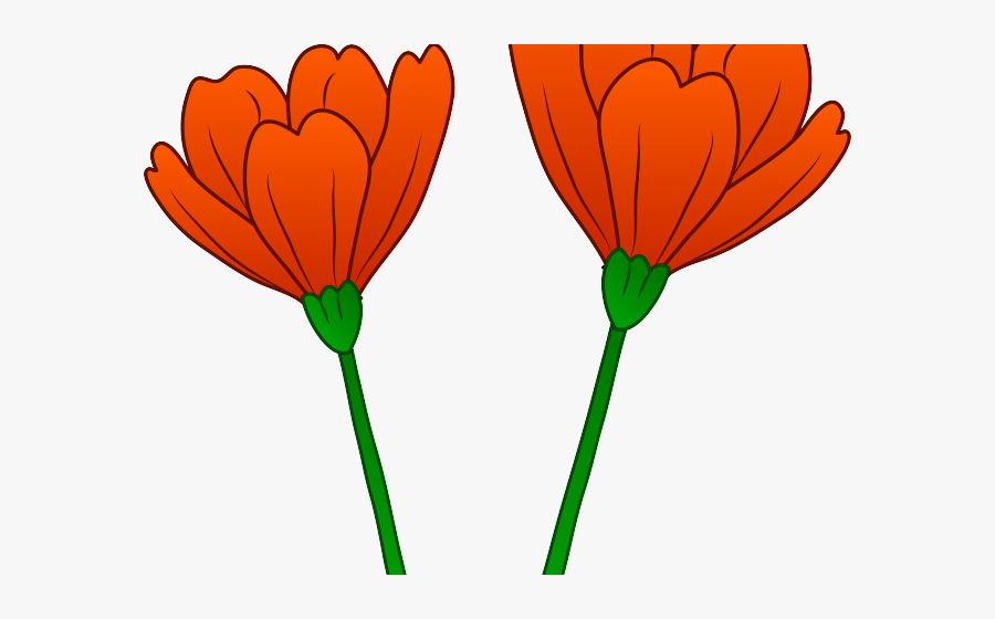 California Cliparts - California Poppy Flower Clipart, Transparent Clipart