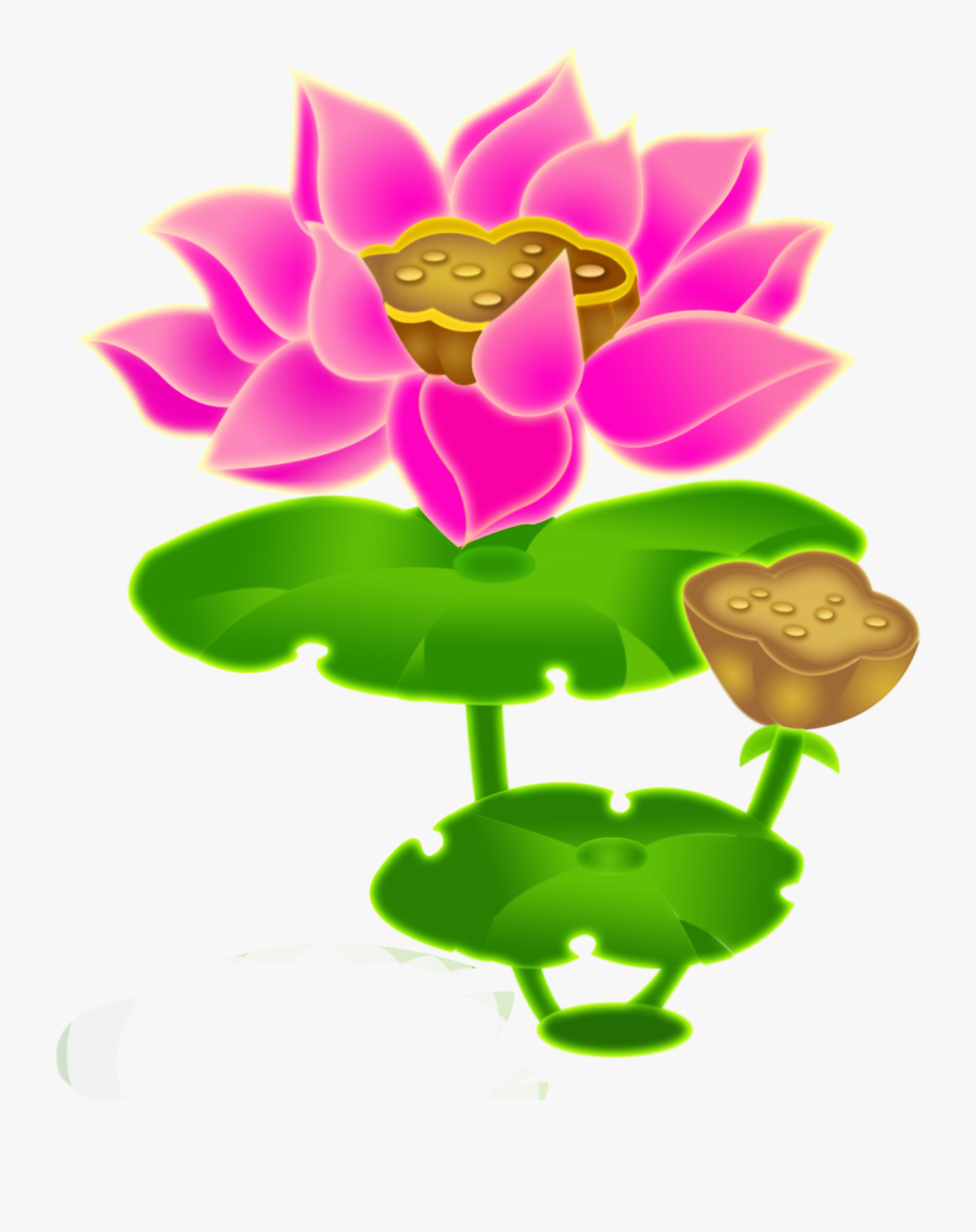 Clip Art Nelumbo Nucifera Budaya Tionghoa - รูป ดอกบัว รูป วาด, Transparent Clipart