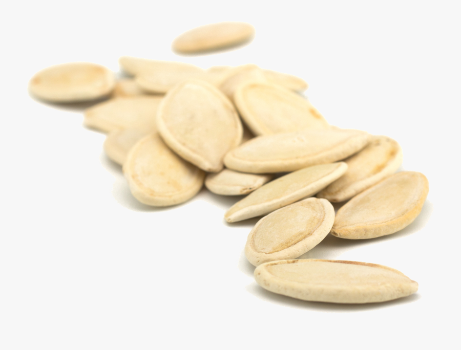 Pumpkin Seed, Transparent Clipart