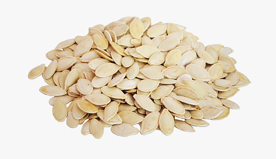 Pumpkin Seeds Png Transparent Images - Pumpkin Seeds Seeds Png, Transparent Clipart