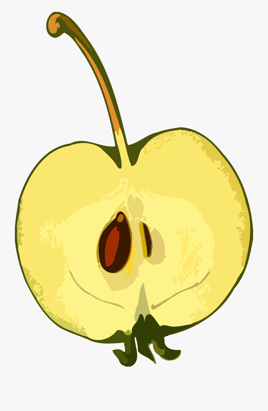 Plant,flower,apple - Fruit With Seed Drawing, Transparent Clipart