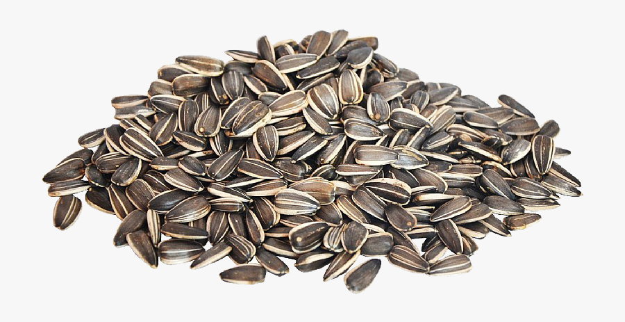 Free Free 292 Cartoon Sunflower Seeds Clipart SVG PNG EPS DXF File