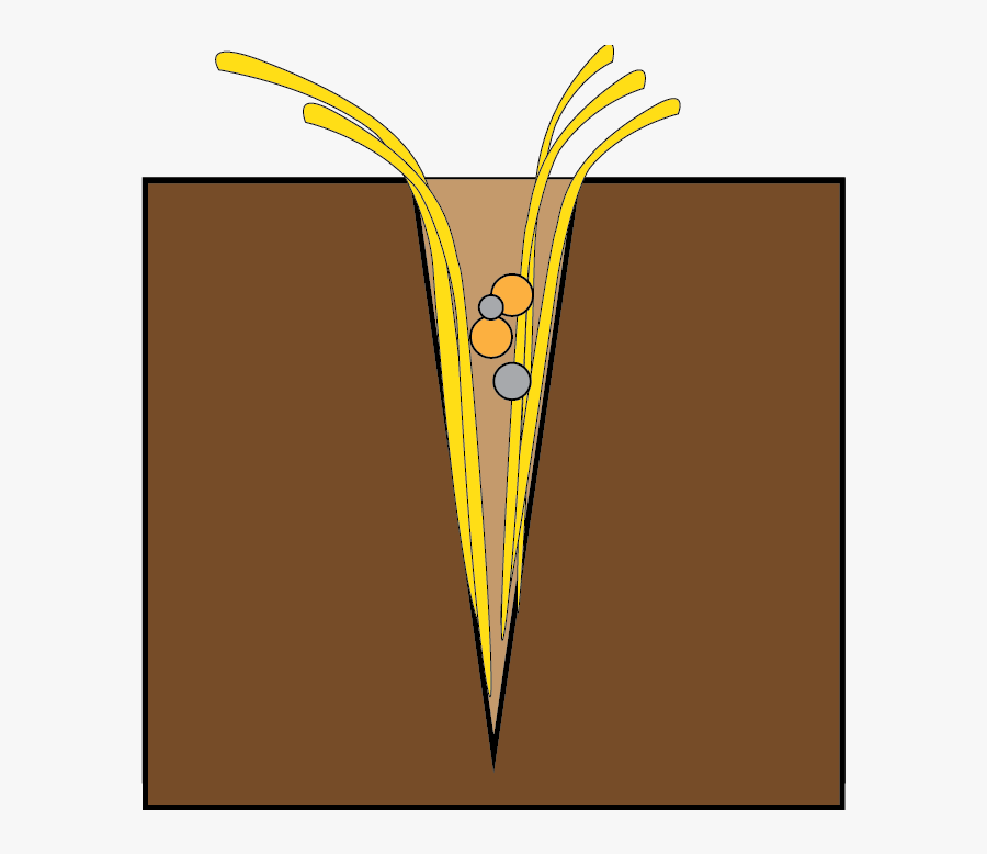 Seeds Clipart Clay Soil - Illustration, Transparent Clipart