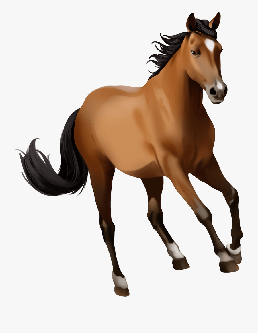 Stallion, Transparent Clipart
