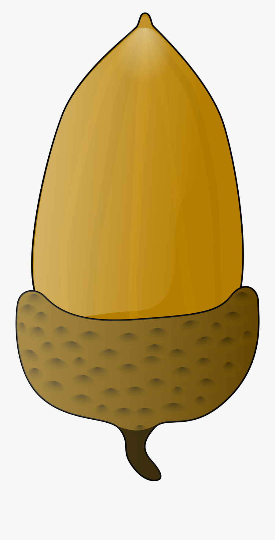 Acorn Clip Art, Transparent Clipart