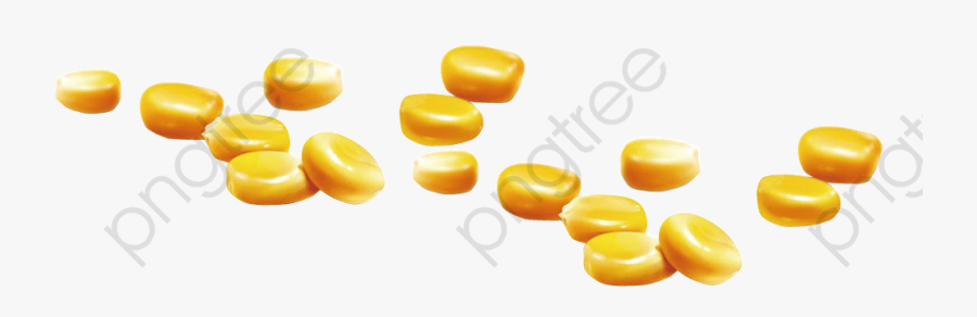 Corn Seed, Corn Clipart, Corn Png Transparent Image - Corn Seeds Clipart, Transparent Clipart