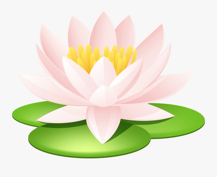 Tattoo Nelumbo Egyptian Lotus Nucifera Water Seed Clipart, Transparent Clipart