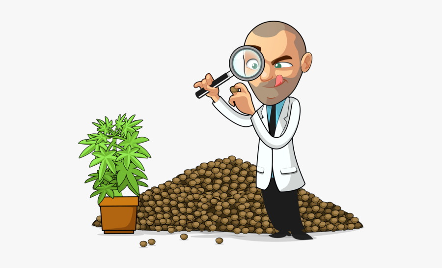 Buy Marijuana Seeds Online - Marijuana Seed Cartoon, Transparent Clipart