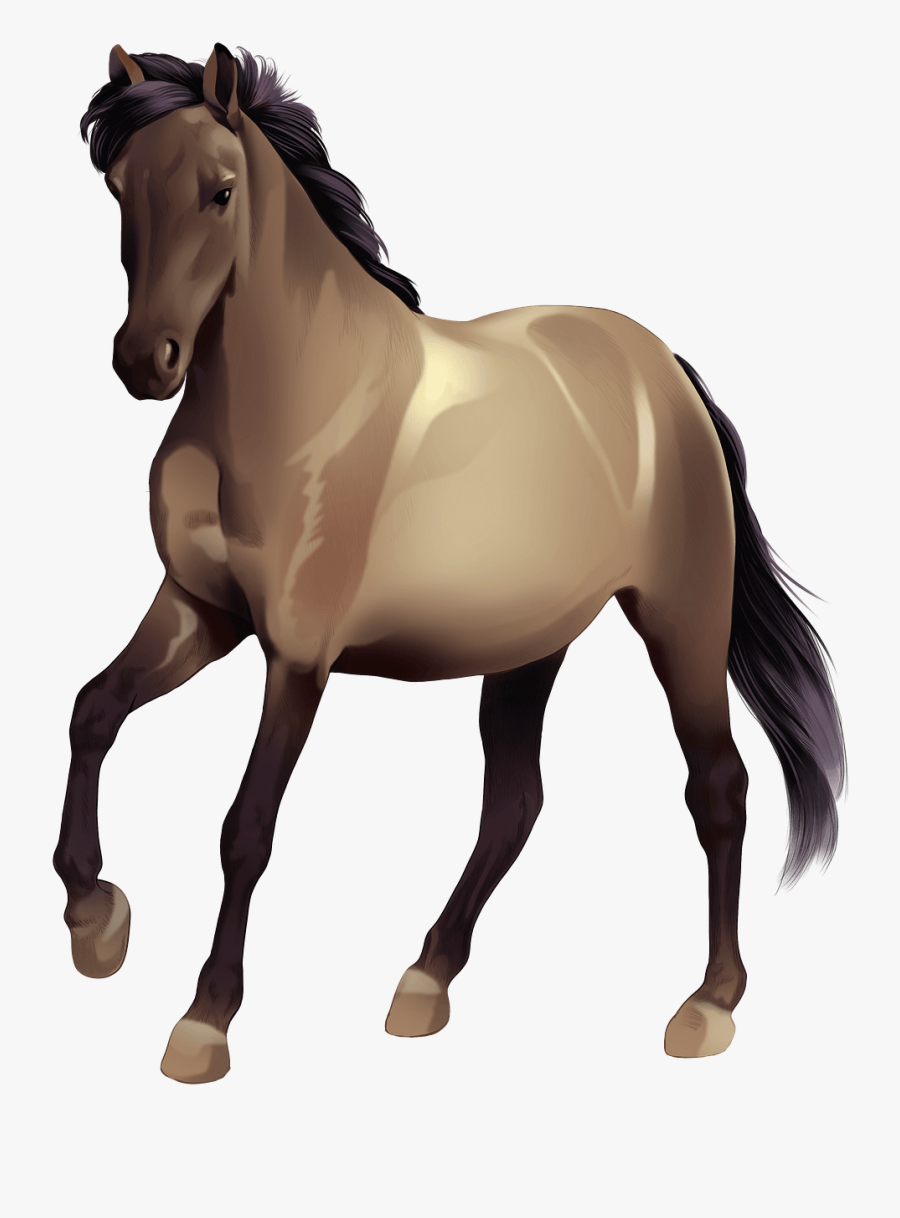 Stallion, Transparent Clipart