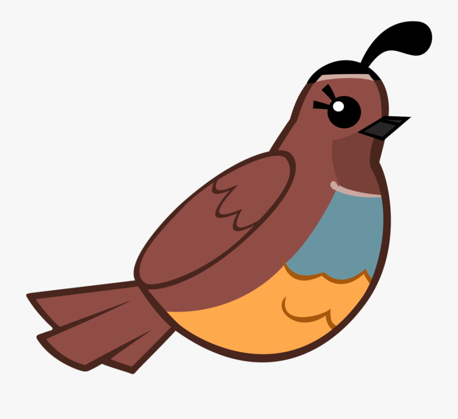 Collection Of Free Quail Drawing Animated Download - Cartoon Quail, Transparent Clipart