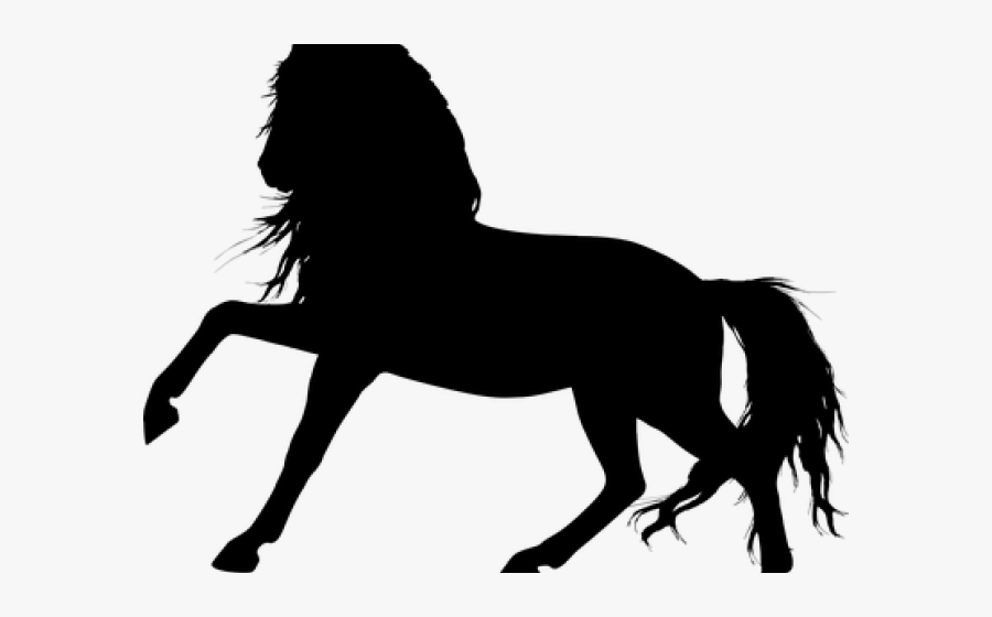 Stallion Clipart Silhouette - Horse Silhouette Horse White Transparent Background, Transparent Clipart