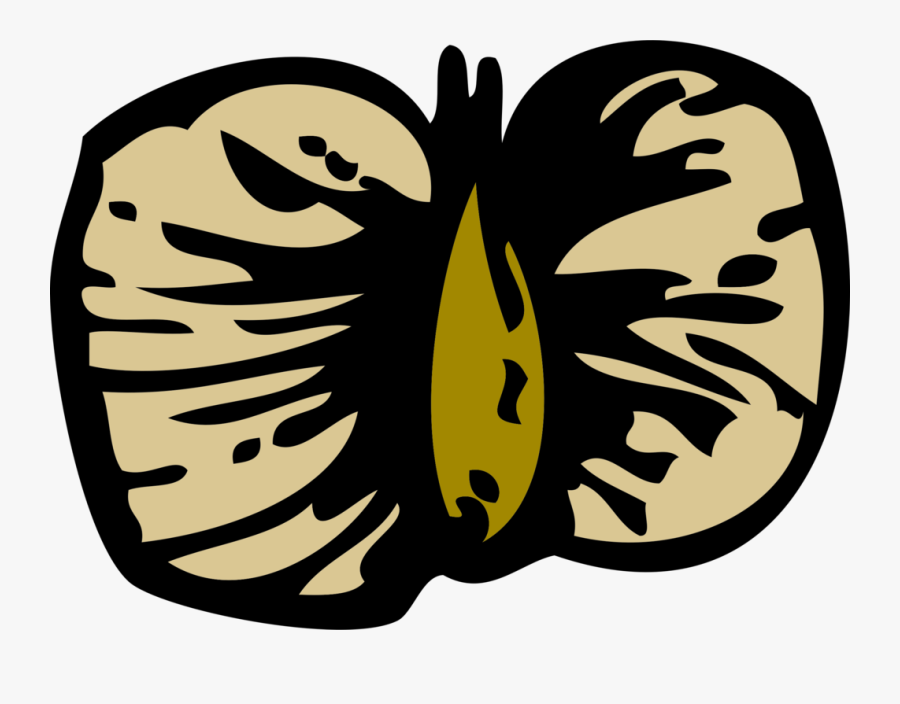 Free Birch Seed - Bjørk Frø, Transparent Clipart