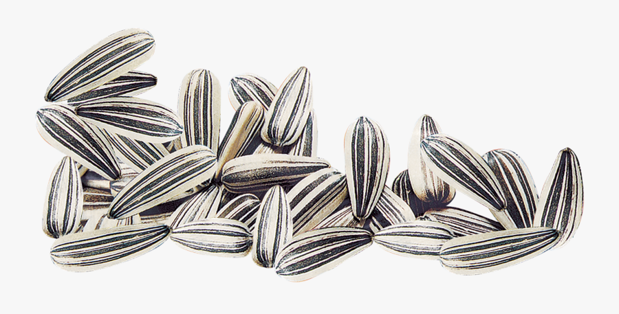 Transparent Seeds Clipart - 瓜子, Transparent Clipart