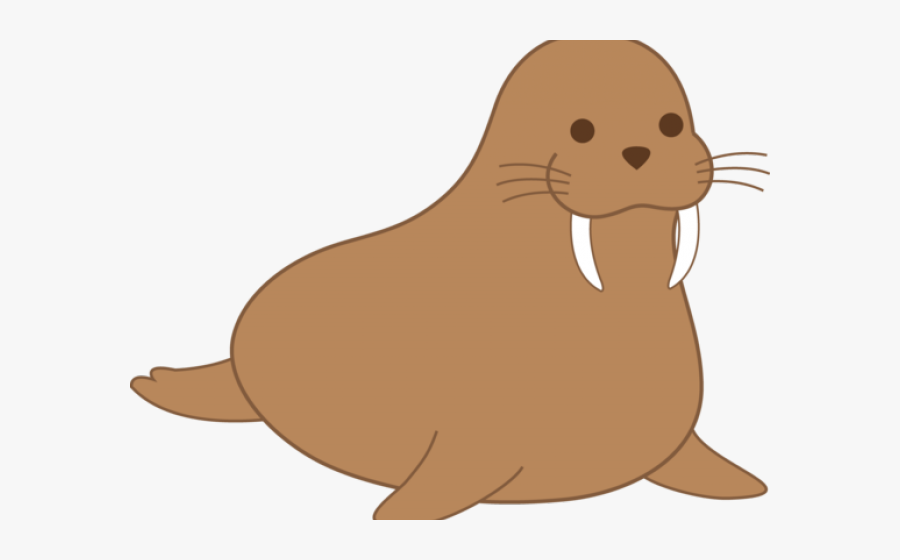 California Sea Lion, Transparent Clipart