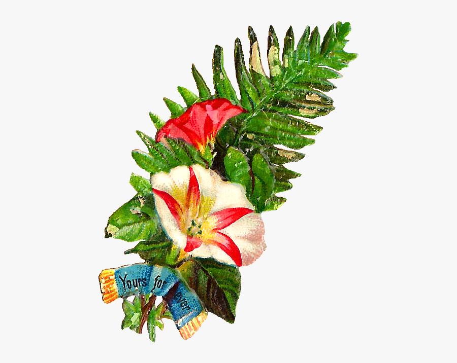 Free Flower Clip Art - Flower Bokeh Images Png, Transparent Clipart