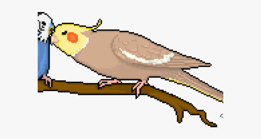 Pixel Art Budgie Grid, Transparent Clipart