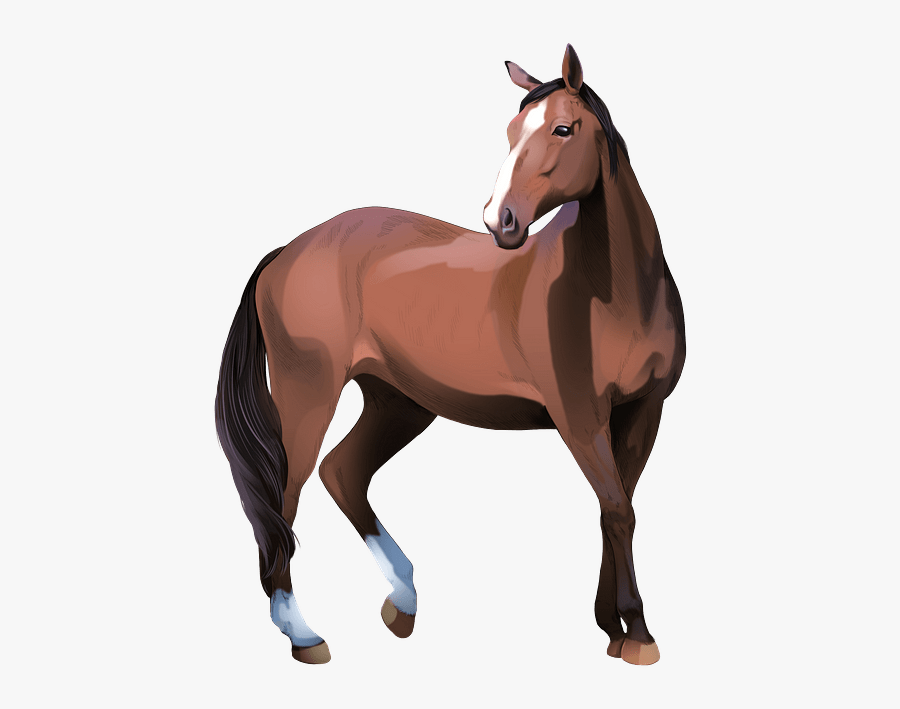 Sorrel, Transparent Clipart