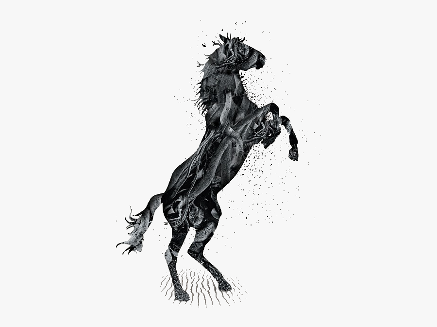Mustang Rearing Silhouette - Horse Silhouette Png, Transparent Clipart