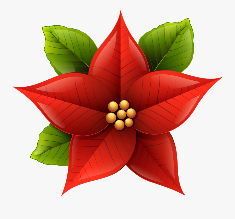 Poinsettia Clipart Flowers, Transparent Clipart