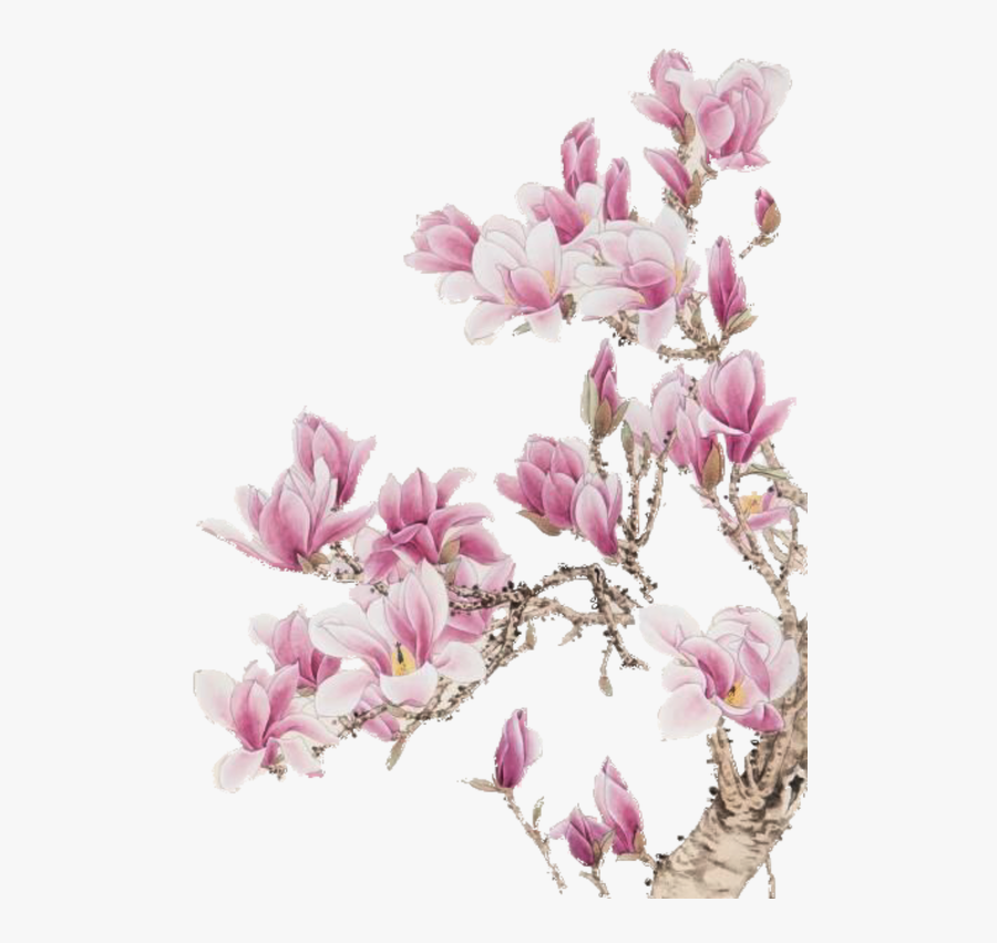 Flowers And Plants - Love Good Morning Letter, Transparent Clipart