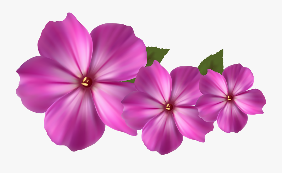 Free Flower Images Download - Purple And Pink Flower Clipart, Transparent Clipart