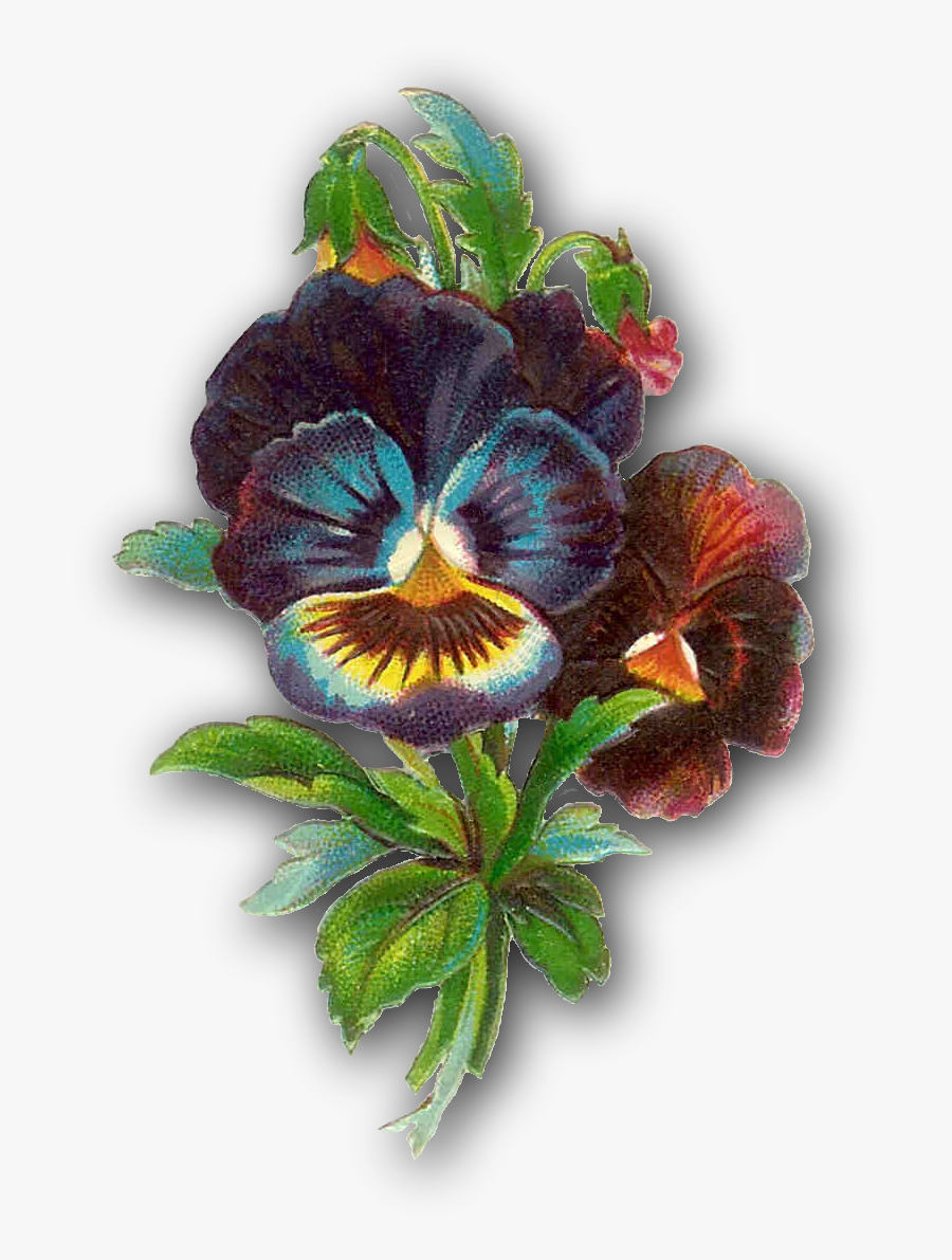 Victorian Flower Clip Art Black And White