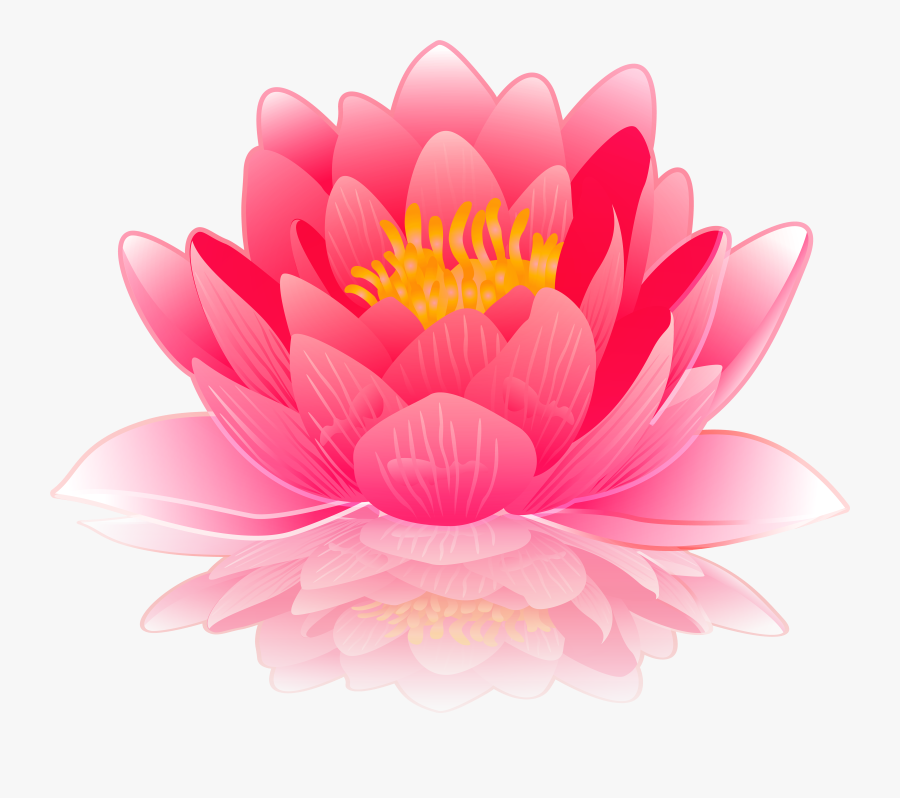 Transparent Lotus Clipart - Water Lilies Clip Art, Transparent Clipart