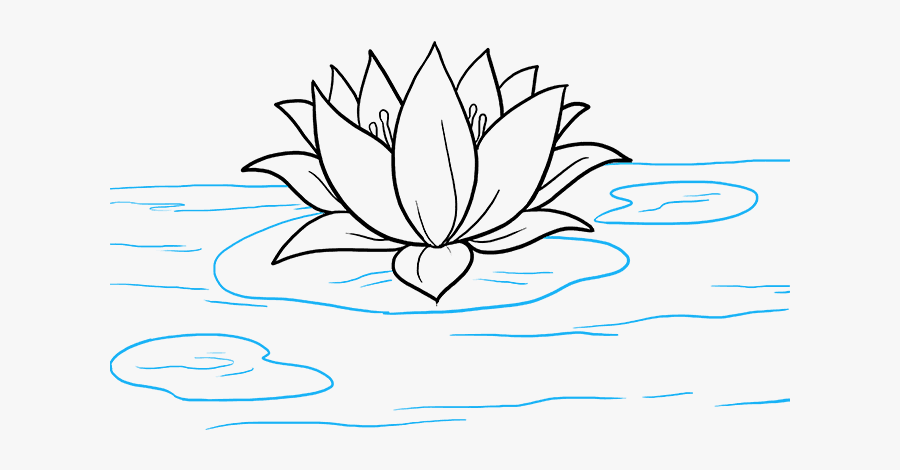 Clip Art Lotus Flower Sketch - Water Lily Drawing Easy, Transparent Clipart