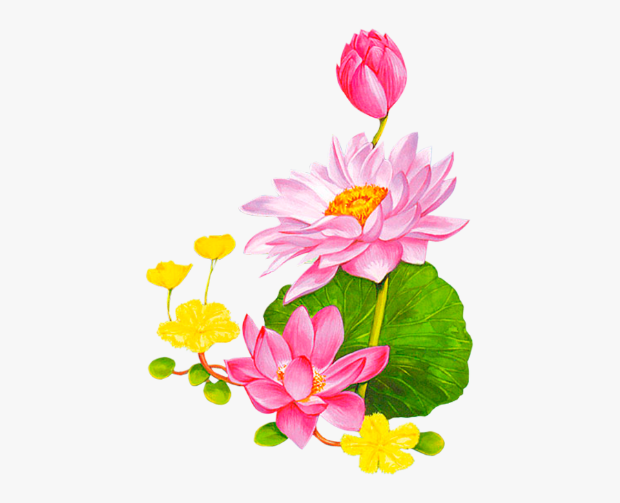 Friendship Flowers, Leaf Clipart, Cartoon Flowers, - Cartoon Lotus Png, Transparent Clipart