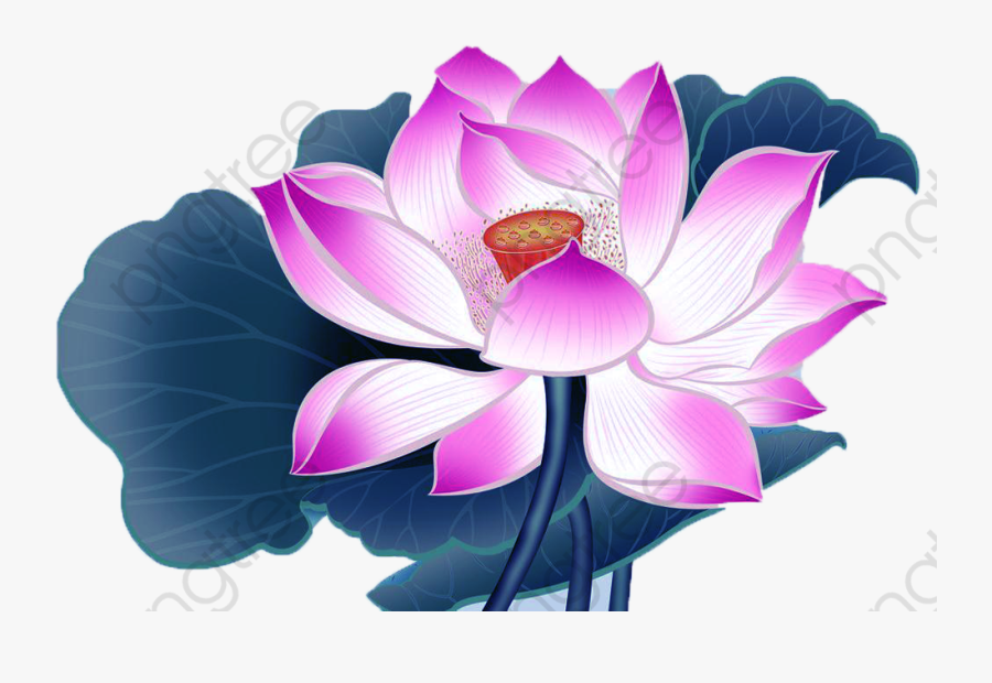 Lotus Clipart Cartoon - Lotus Flower Transparent Background Cartoon, Transparent Clipart