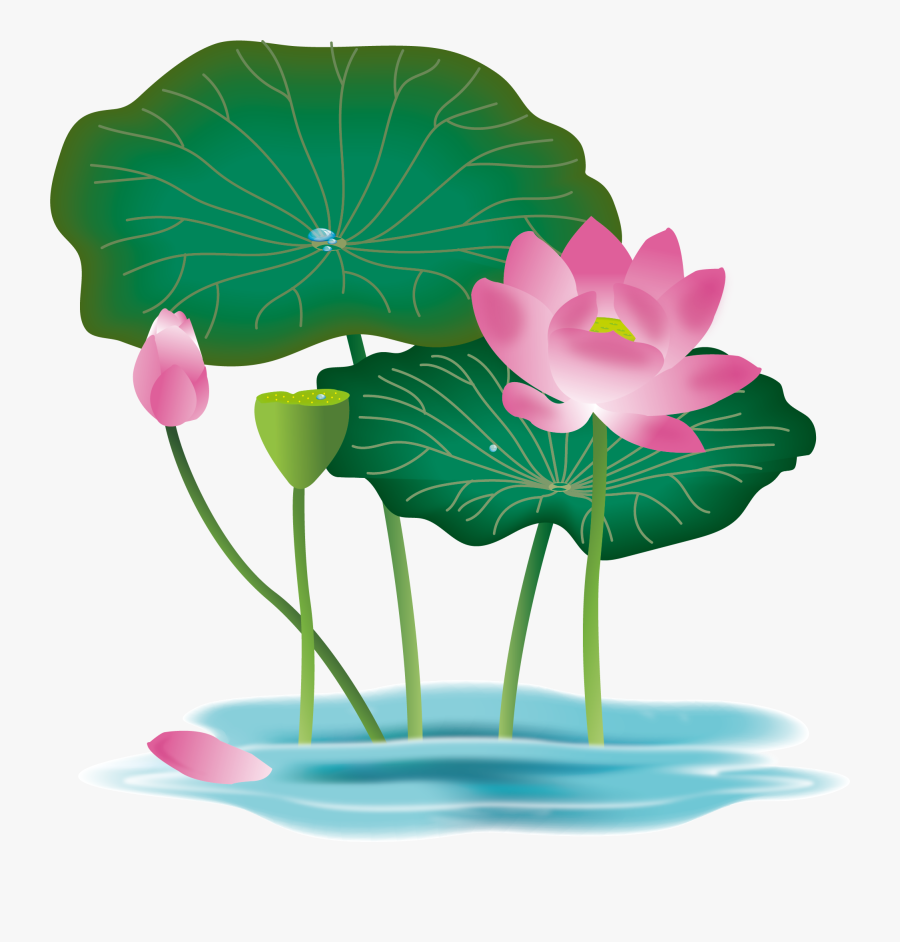 Transparent Pink Lotus Flower Clipart - Lotus Flower With Leaf Png, Transparent Clipart