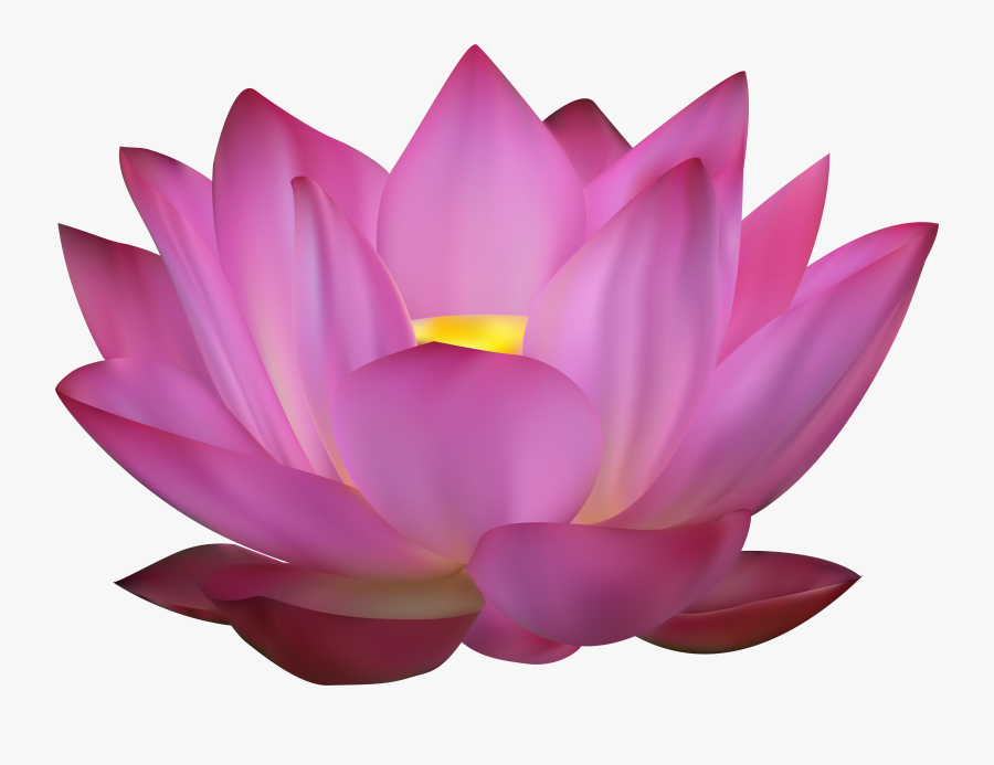 Pink Clip Art Png - Flower Pink Lotus Png, Transparent Clipart