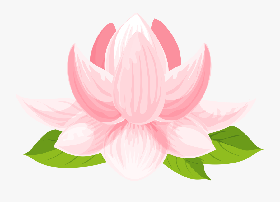 Transparent Lilypad Png - Transparent Lotus Flower Clipart, Transparent Clipart