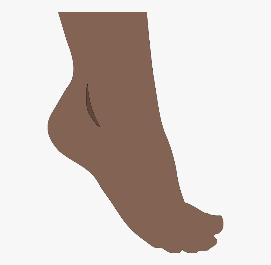 Ankle,neck,leg - Feet Png, Transparent Clipart