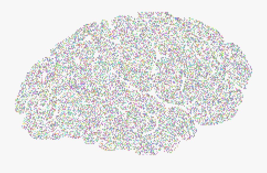 Area,tree,line - Binary Brain Png, Transparent Clipart