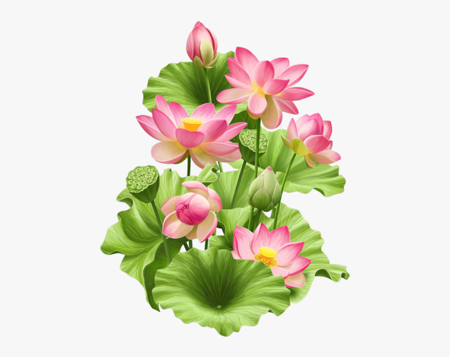 Clip Art Pin By On Png - Hoa Sen Đẹp Png, Transparent Clipart