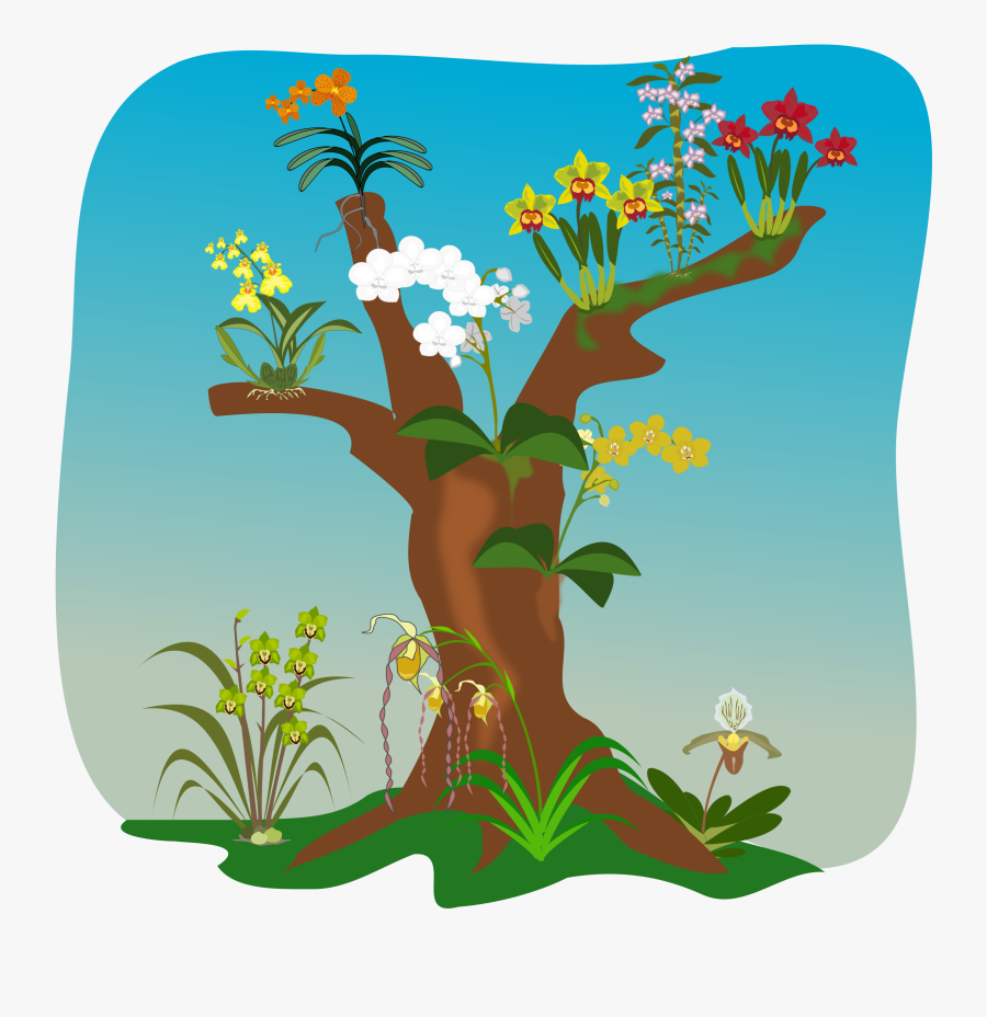 Orchid Clipart Cartoon - Orchids On Trees Clipart, Transparent Clipart